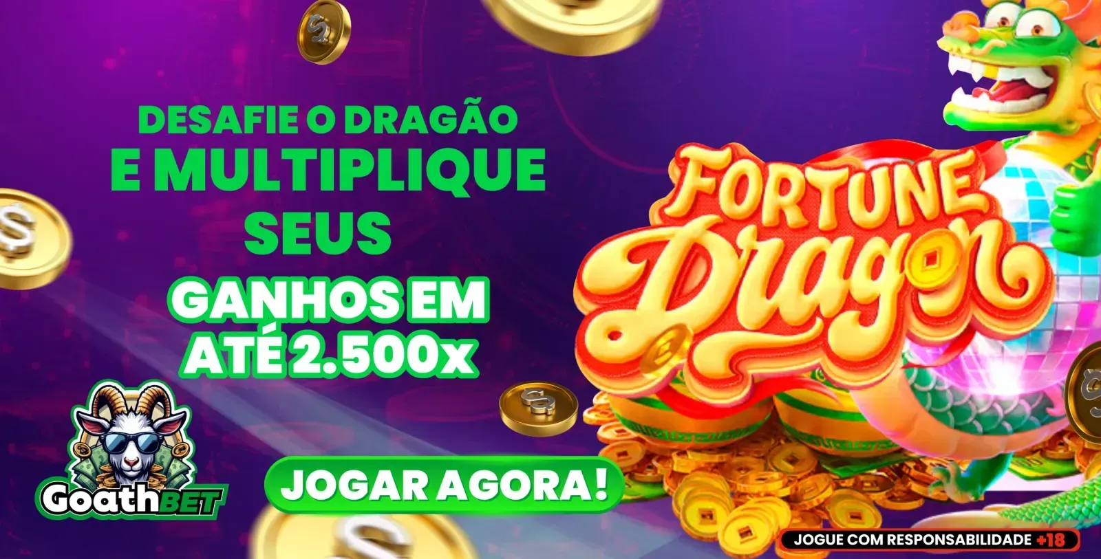 6z plataforma